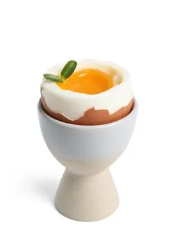 Holder with soft boiled egg and micro green on white background Stock Photos