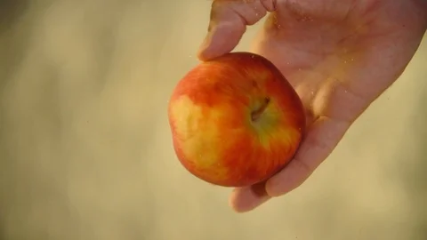 Holding Apple hands, Close-Up, Autumn Fruit. To wash an Apple in water. Dip a Stockbeeldmateriaal 102469099