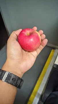 Holding an apple Stock Photos