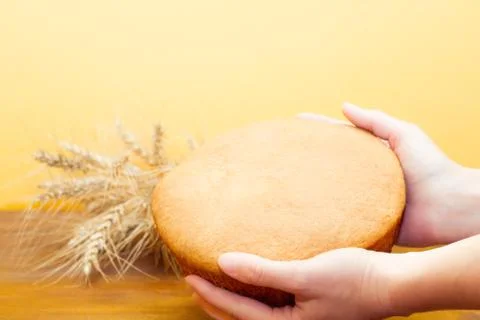 Holding bread in the hands and in the background wheat on a yellow background. Stock Photos