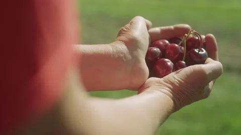 Holding Cherries Slow Motion Stock Footage 160685859