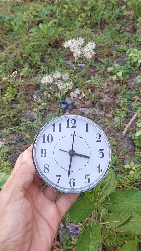 Holding Clock with Background Plant Part 1 Stock Footage 280044142