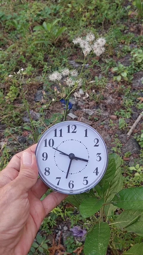 Holding Clock with Background Plant Part 2 Video stock 280044976