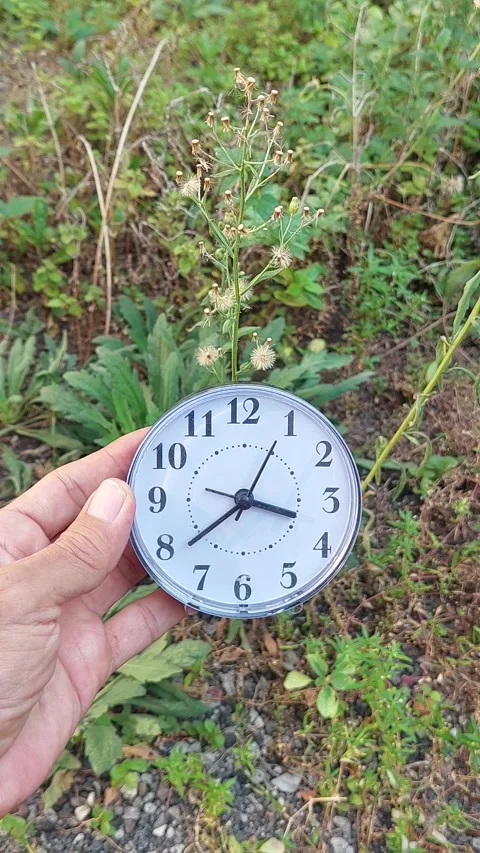 Holding Clock with Background Plant Part 3 Video stock 280045089