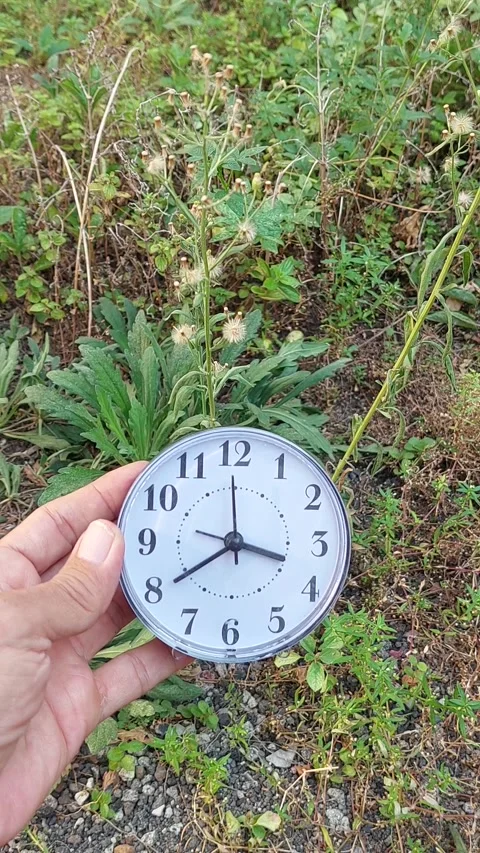 Holding Clock with Background Plant Part 4 Stock-Footage 280045134