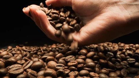 Holding Coffee Beans. Close-up. Vídeos de archivo 108817729