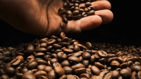 Holding Coffee Beans. Close-up. Stock Footage 108818045