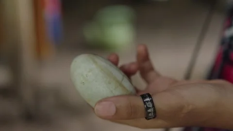 Holding Crocodile Egg Vídeos de archivo 275070906