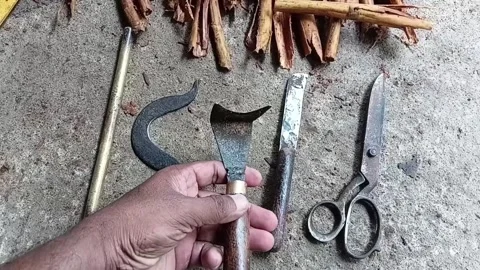 Holding Diga Koketta Straight Scraper Tool Stock-Footage 347465811