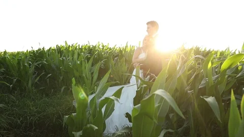 Holding Each Other at Sunset Stock Footage 114884432