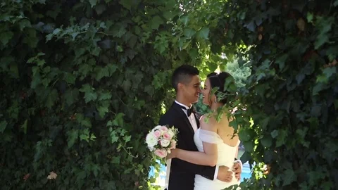 Holding Each Other Under an Arch Stock-Footage 115325539