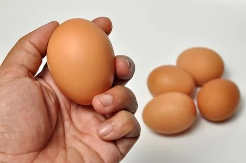 Holding Egg White Background Stock Photos