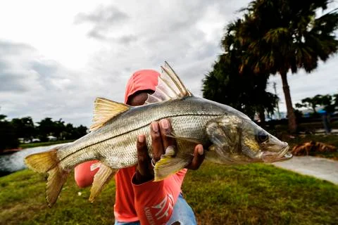 Holding a fish Stock Photos