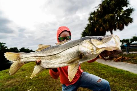 Holding a fish Stock Photos