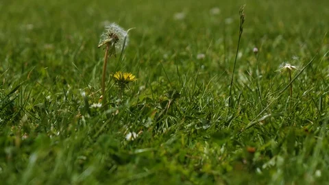 Holding On Stock Footage 108811381