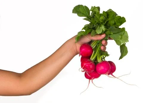 Holding Fresh radish with one hand, isolated Stock Photos