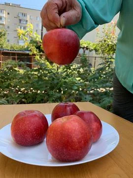 Holding Fresh Red Apple by Stem Stock Photos