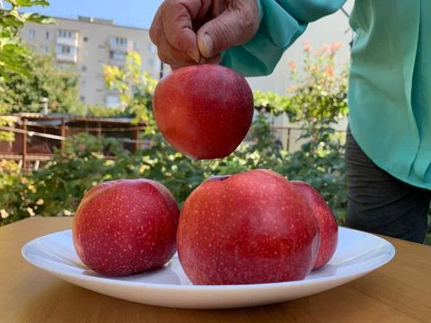 Holding Fresh Red Apple by Stem Stock Photos