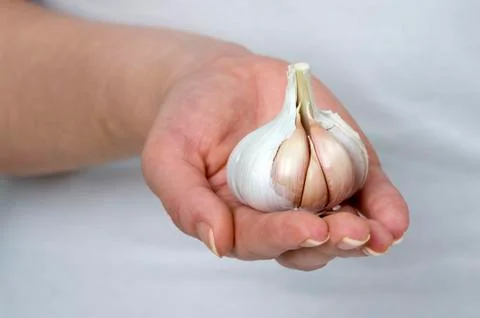 Holding garlic Stock Photos