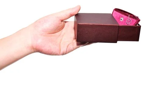 Holding a gift box Stock Photos