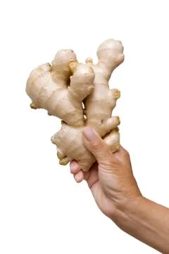 Holding ginger root isolated on white background Foto stock