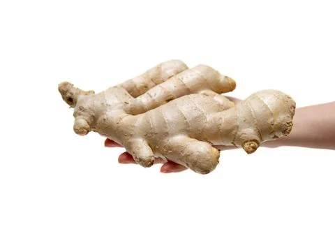Holding ginger root isolated on white background Stock Photos