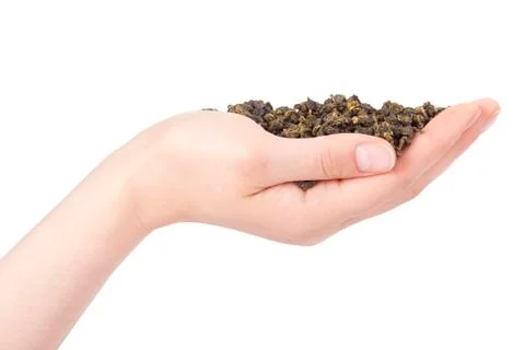 Holding green tea Stock Photos