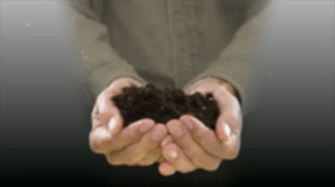 Holding &amp; growing a  tree Video stock 10739161