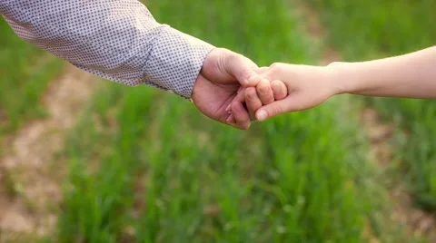 Holding Hands In Field Stock Footage 43570238