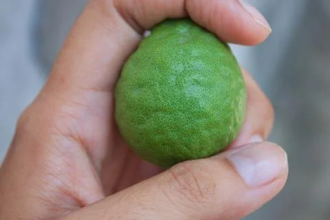 Holding hands lime Stock Photos