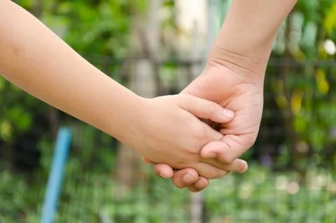 The holding hands Stock Photos