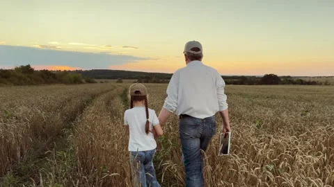 Holding hands through the wheat fields, sunset serenity in the countryside Stock Footage 313906653