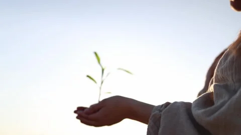 Holding hope for the planet Video stock 337941727