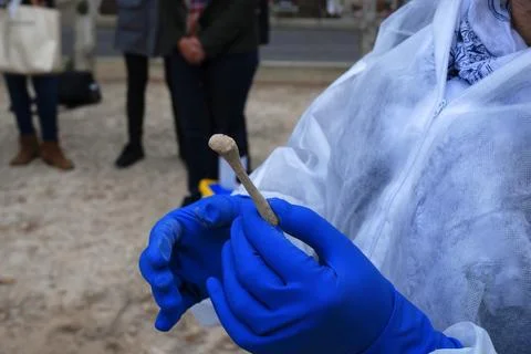 Holding a human bone for forensic study Stock Photos
