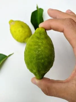 Holding lime Stock Photos