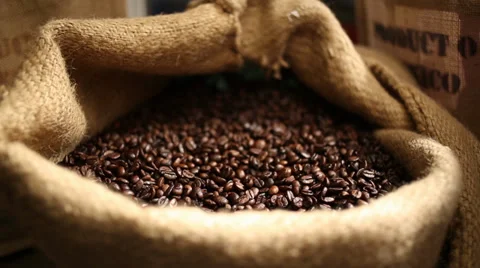 Holding Mexican Coffee Grains Stock Footage 38353065