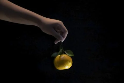 Holding oranges on black background Stock Photos