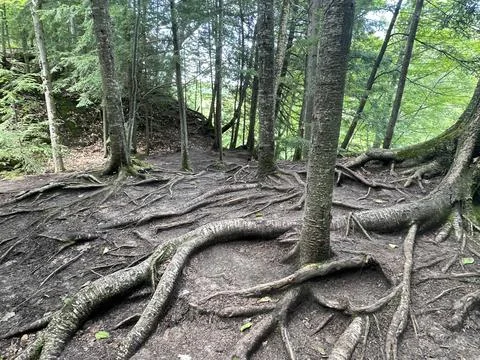 Holding On Stock Photos