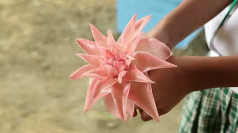 Holding pink torch flower! Stock-Footage 10822927