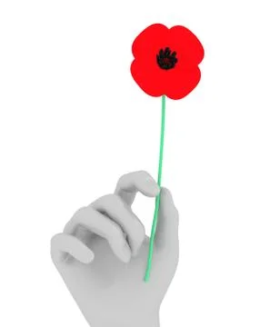 Holding Poppy Stock Illustration