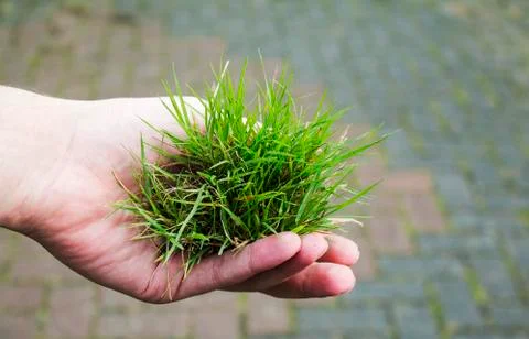 Holding a portion of nature Stock Photos
