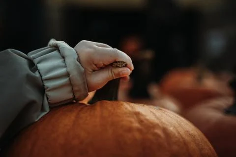 Holding a pumpkin Stock-Fotos