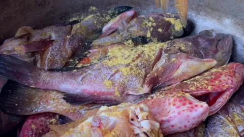 Holding raw red snapper fish with tongs over metal pot. Close up Stock Footage 336024063