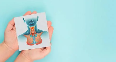  Holding thyroid organ in the hands, hyperthyroidism and hypothyroidism, h... Stock Photos