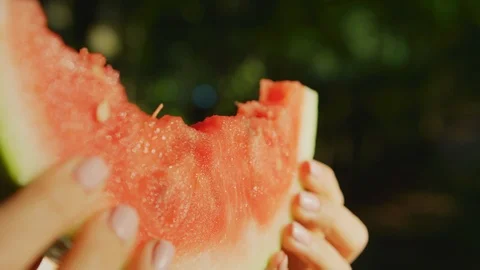 Holding a watermelon slice Stock Footage 99967013