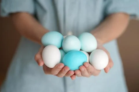 Holding white and blue Easter eggs in hands Stock Photos