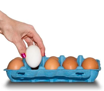 Holding white egg Foto stock