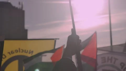 Holdingflagprotest Stock-Footage 256579900