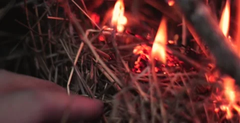 Holds fire in his hands. Lights a bonfire. makes a fire during the hike Stock Footage 166398954