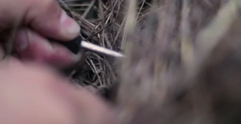 Holds fire in his hands. Lights a bonfire. makes a fire during the hike. Stock Footage 166398971